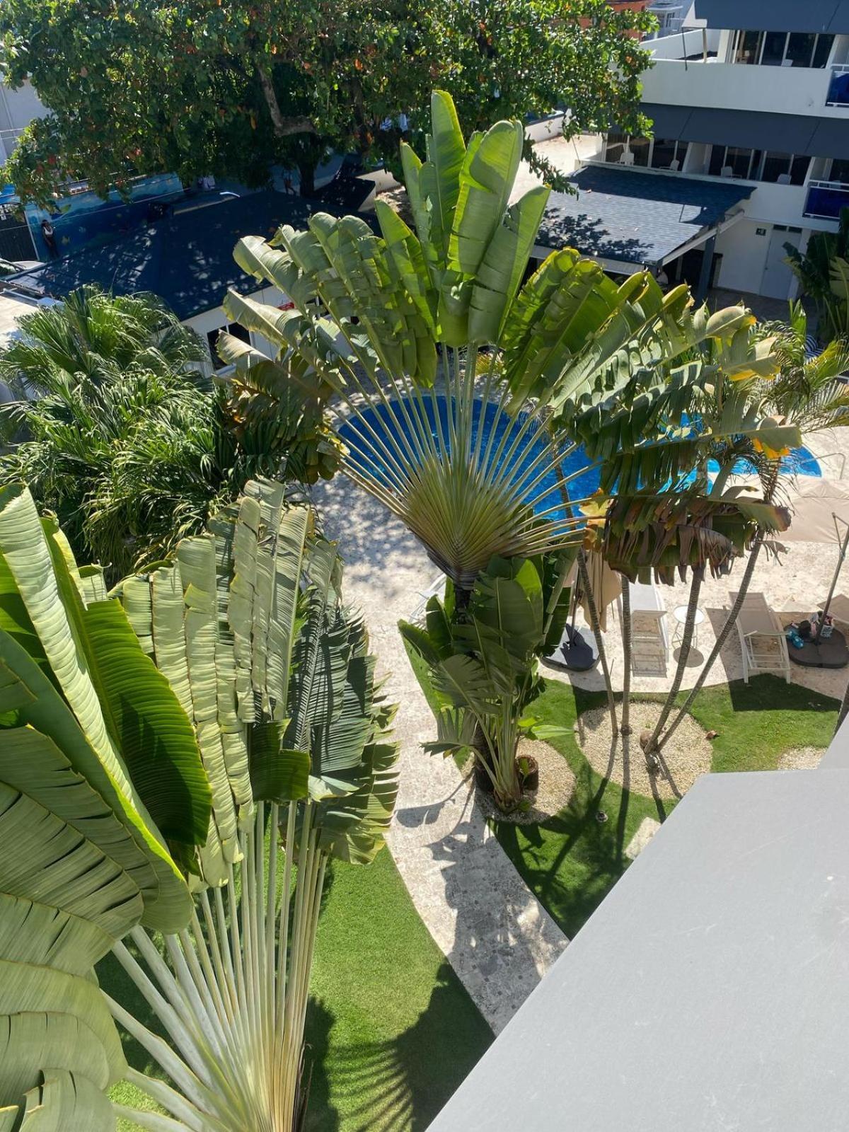 New Garden Hotel Sosúa Eksteriør billede